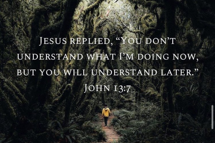 - John 13:7